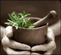 Les connaissances médicales se transmettaient de père en fils. Où pouvaient aller ceux qui souhaitaient compléter leur enseignement et rencontrer des médecins, ainsi que des scribes recopiant les textes traitant de la médecine ?