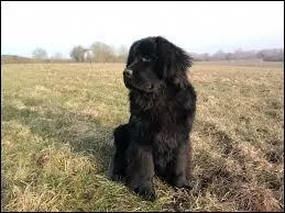 Pèse-t-il de 50 à 59 kg ?