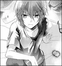 Dans le tome 13, où Hisame emmène-t-il Yukina ?