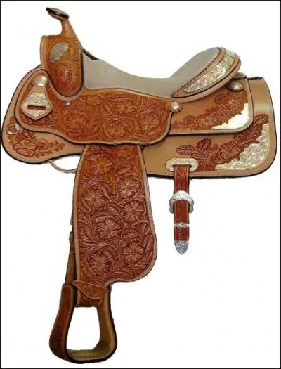 Quelle est cette selle ?