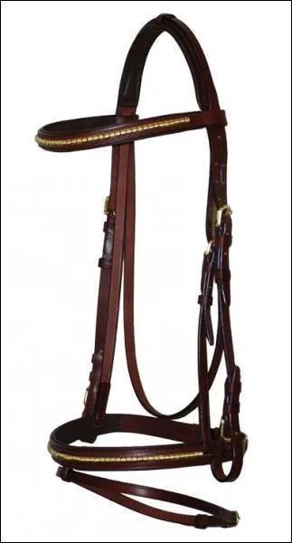 Comment s'appelle ceci ?