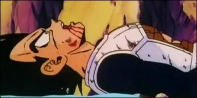 Lorsque Vegeta est battu, qui veut l'achever ?