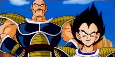 Quand Vegeta et Nappa doivent arriver sur la Terre ?