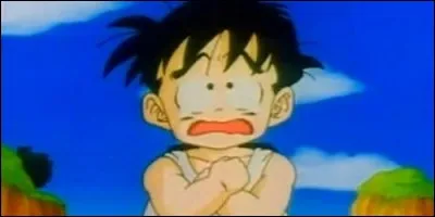 Qui devient le maître de Gohan ?