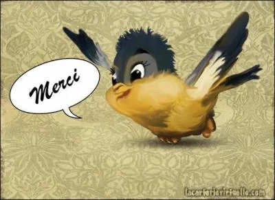 Petit poisson marin des côtes rocheuses, appelé papillon de mer :