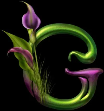 Réjouissance, joie, amusement :