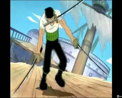 Quelle est l'unique défaite de Zorro ?