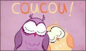 Complétez la définition de ce vieux jeu de cartes de France pratiqué depuis la nuit des temps qu'est le jeu de «coucou». Le joueur doit . dans la corbeille.