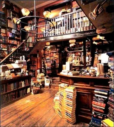 Comment s'appelle la librairie du Chemin de Traverse ?