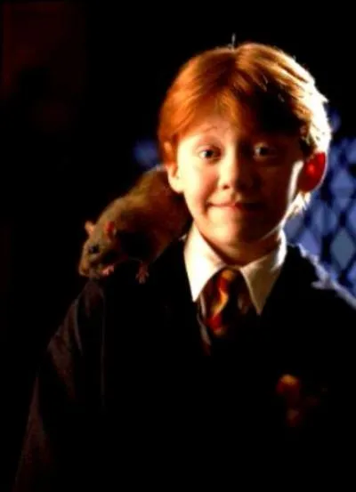 En quelle couleur Ron veut-il changer son rat ?