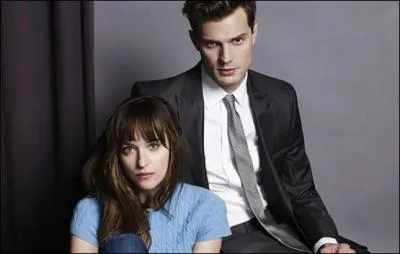 Où se sont rencontrés Monsieur Grey et Mademoiselle Steele ?