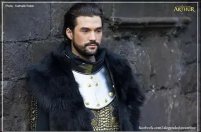 Combien de comédies musicales a-t-il fait ?