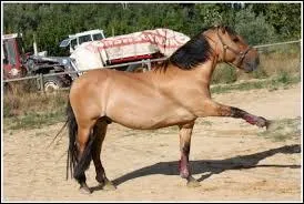 Comment ce tour s'appelle-t-il ?