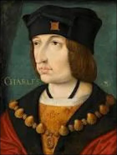 Quel était le surnom de Charles VIII ?
