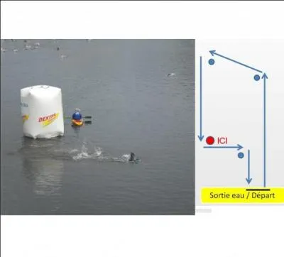 Vous êtes arbitre au niveau de la bouée, au même niveau que le kayak de l'organisation.
Que faites-vous ?