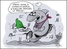 Tous les requins sont carnivores. Parmi eux, certains sont exclusivement planctophages (qui se nourrissent de plancton). Citez-moi le requin n'adoptant pas ce régime alimentaire :