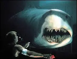 Donnez-moi le titre de ce film américain, sorti en 1999, où l'on retrouve à l'affiche des acteurs tels que Thomas Jane, Samuel L. Jackson et Saffron Burrows :