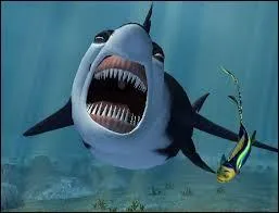"Gang de requins" est un film d'animation sorti en salle en 2004, c'est une production des studios :