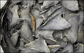 L'aileron de requin serait soi-disant un mets aux vertus thérapeutiques dans un pays d'Asie, lequel est-ce ?