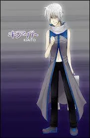 Qui est ce Kaito ?