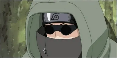 Dans "Naruto", quelle est la particularité de Shino Aburame ?