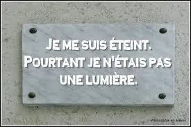 'Je m'arrêterais de mourir s'il me venait un bon mot ou une bonne idée.' (indice, il n'était pas si candide qu'il pût l'écrire)