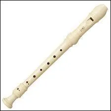 L'instrument sur l'image est une flûte :