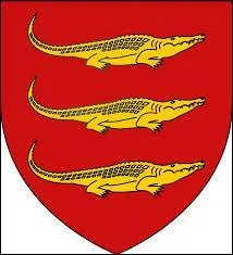 A quelle capitale africaine appartient ce blason ?