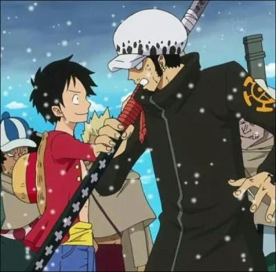 Quel empereur est visé par l'alliance de Luffy et Law ?