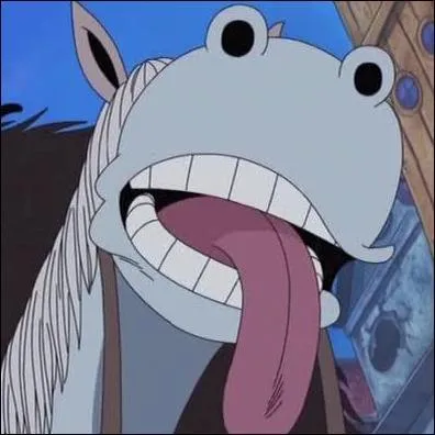 Comment s'appelle le cheval du Docteur Q, médecin de l'équipage de Barbe Noire ?