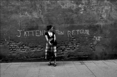 La photographie actuelle est massivement numérique, mais dans une période avant l'an 2000, elle était analogique. Mais, quel autre nom peut aussi la désigner ?