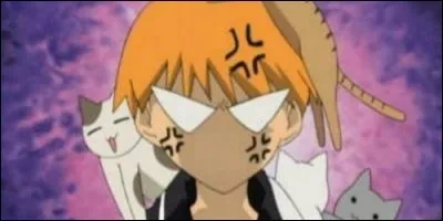 Dans "Fruits Basket", qu'est-ce qui énerve Kyo ?
