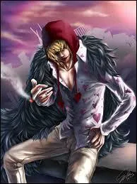 Comment se nomme le frère de Doflamingo dans la version française ?