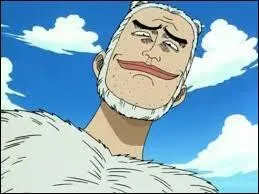 De quelle couleur est le pantalon de Morge le second de Baggy ?