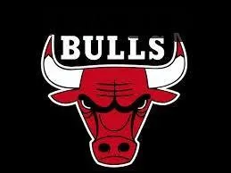 Les "Bulls" sont les joueurs d'une équipe mythique du championnat national américain de basketball (NBA). Quelle ville représentent-ils ?