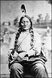 Sitting Bull (traduction de "Taureau Assis") était un fameux chef de tribu et médecin du peuple amérindien. De quel grand groupe ethnique venait-il ?