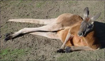 Mais ce n'est pas une raison pour ne rien faire et rester...