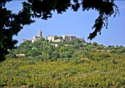 Quel est cet admirable belvédère sur le Tricastin et la vallée du Rhône possédant de belles demeures, une belle église romane Saint-Michel et une chapelle des Pénitents blancs ?