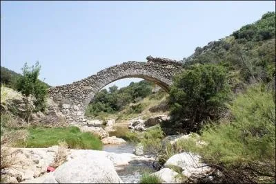 A Grimaud dans le département du Var, vous pourrez voir les restes d'un pont du XIe siècle, quel est son nom