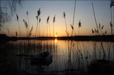 Découvrons maintenant la Sologne, pays de forêts et d'étangs, ces derniers sont au nombre de plus de 3000, dont la majorité date de quelle époque ?