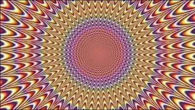 Que remarquez-vous sur cette image ?