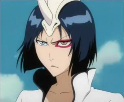 Je suis l'une des fracciones de la Terca Espada. Je me dispute souvent avec mes "amies". Je suis :