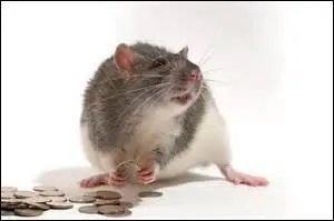 Chateaubriand le qualifia de « Caligula de carrefour ».