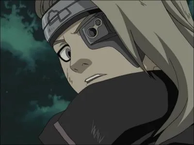 Comment se nomme son il robotique ?