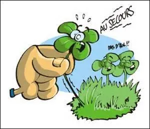 Sur cette question, vous venez de tirer la carte du trèfle à quatre feuilles en 2e position dans un tirage en croix. Vous avez droit à une interprétation divinatoire immédiate ! 
Quelle est alors la signification de cette carte ?