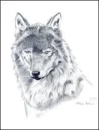 Ce dessin a été fait par Michael.