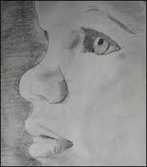 Michael a fait ce dessin.