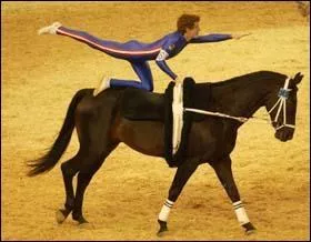 Comment s'appelle cette figure de voltige ?