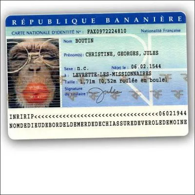 Que ne comporte pas votre carte d'identité ? (Agrandissez l'image et lisez bien ce qui y est inscrit) ^^