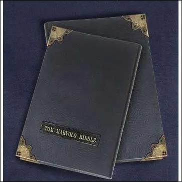 Qui jette le journal intime de Jedusor dans les toilettes ?